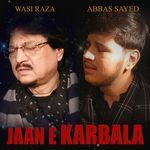 Jaan E Karbala - Abu Saba Song Download